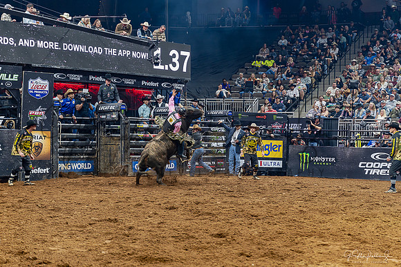 Z62_2839