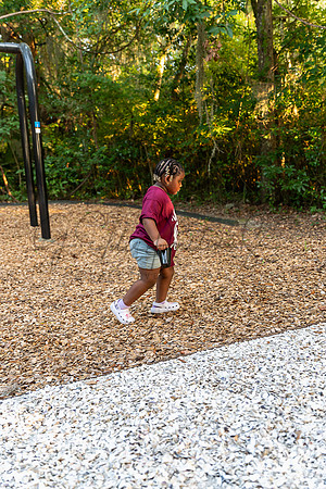 Z63_8342