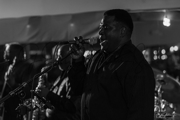 D75_3665