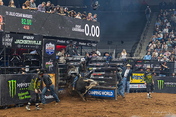 Z62_2459