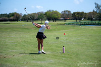 Lady Golfer