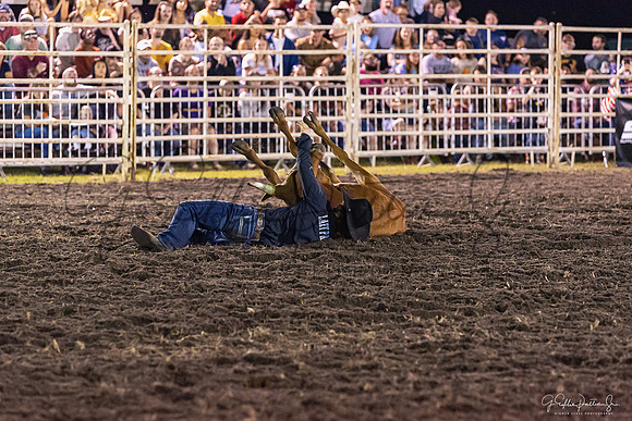 D75_1476