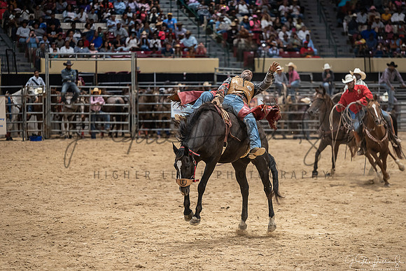 D75_0628