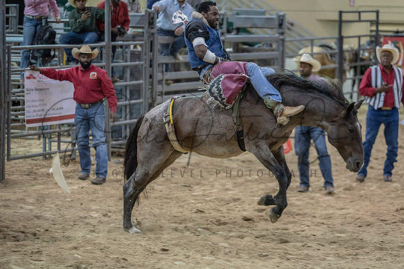 D75_0688